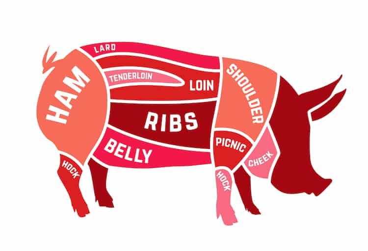 Pork Loin vs Pork Shoulder: Swine Cut Comparison